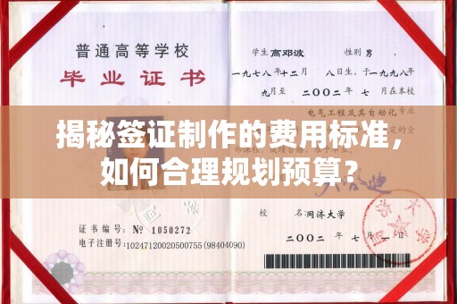 错那揭秘签证制作的费用标准，如何合理规划预算？