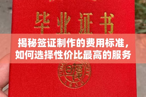 错那揭秘签证制作的费用标准，如何选择性价比最高的服务？