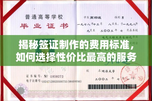 错那揭秘签证制作的费用标准，如何选择性价比最高的服务？