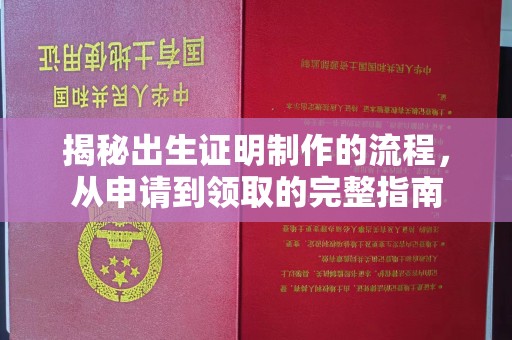 错那揭秘出生证明制作的流程，从申请到领取的完整指南