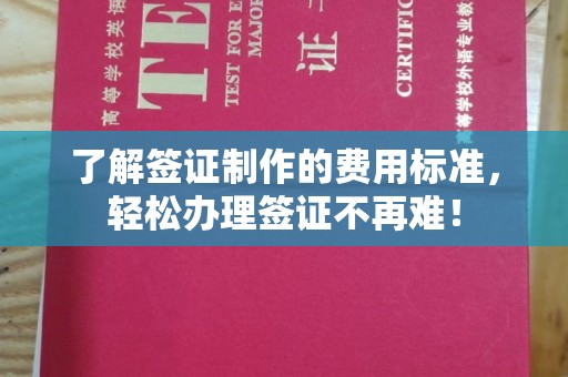 错那了解签证制作的费用标准，轻松办理签证不再难！