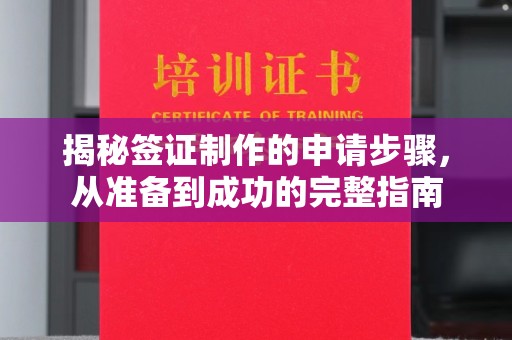错那揭秘签证制作的申请步骤，从准备到成功的完整指南